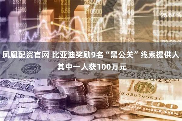 凤凰配资官网 比亚迪奖励9名“黑公关”线索提供人 其中一人获100万元