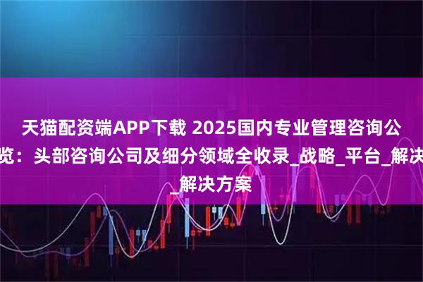 天猫配资端APP下载 2025国内专业管理咨询公司概览：头部咨询公司及细分领域全收录_战略_平台_解决方案