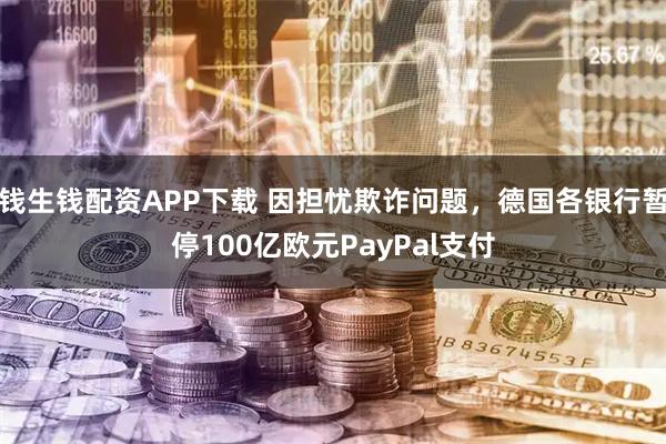 钱生钱配资APP下载 因担忧欺诈问题，德国各银行暂停100亿欧元PayPal支付