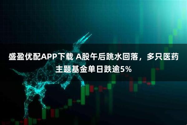 盛盈优配APP下载 A股午后跳水回落，多只医药主题基金单日跌逾5%