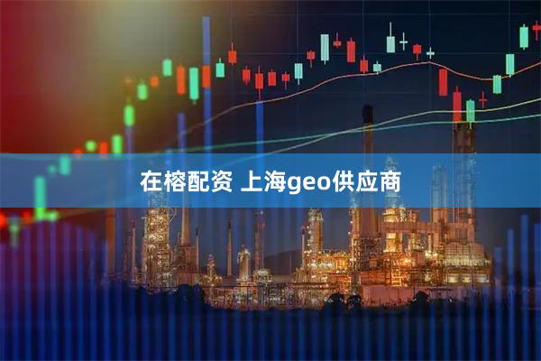 在榕配资 上海geo供应商